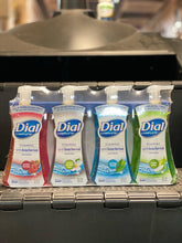 Load image into Gallery viewer, DIAL ANTIBACTERIAL FOAM HAND SOAPS
